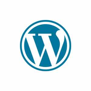 WordPress SEO service by SEO EXpert in Kerala